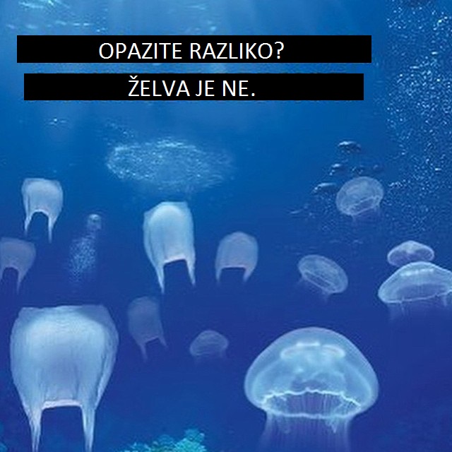 Plastične vrečke, meduza, želva