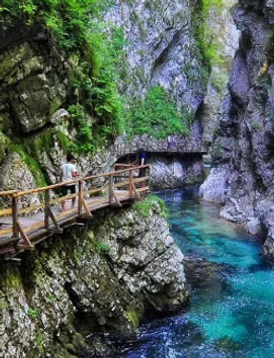 True paradise