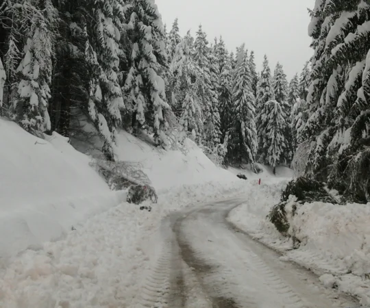Zimska služba